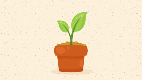 houseplant in pot nature animation