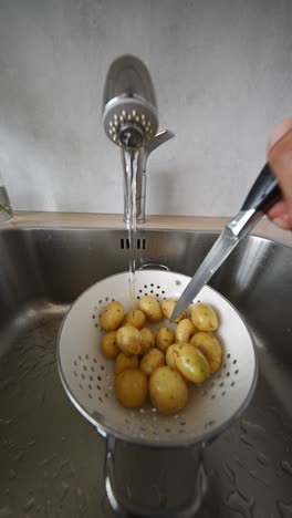 lavando patatas en el fregadero de la cocina