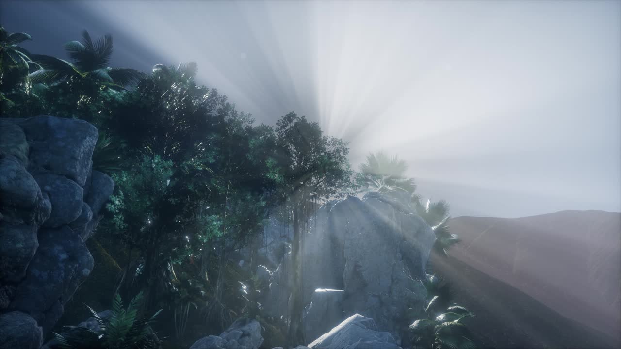 ⁇ 나무 를 가로지르는 해 가 지는 광선