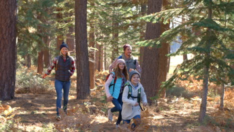 slow motion panning shot of family running past in a forest