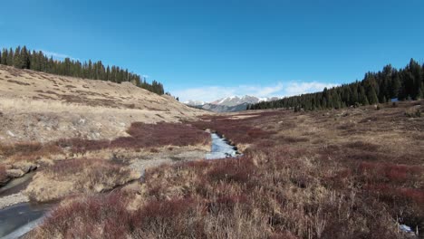 FPV-Along-little-stream-and-Mountains-in-Background