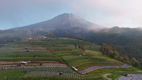 Aerial view of terraced farmland with a majestic mountain in the background, covered in morning mist and soft sunlight. Mount Sumbing, Indonesia