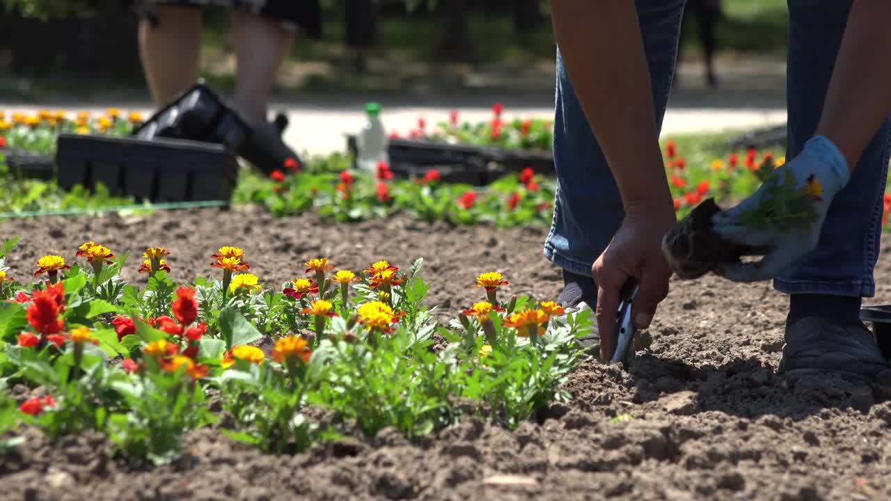 Mulheres jardinando ao ar livre em parque da cidade