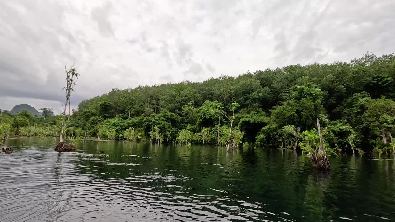 카야크 타는 사람 들 은 울창 한 초록색 으로 둘러싸인 조용 한 물 을 항해 한다