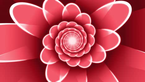 red floral spiral looped animated background