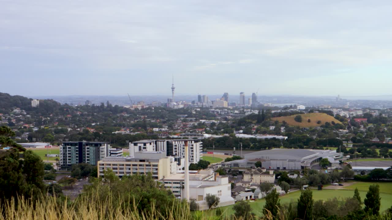 뉴질랜드의 파노라마 시내 풍경: 오클랜드의 스카이라인은 한 나무 언덕에서 볼 수 있습니다.