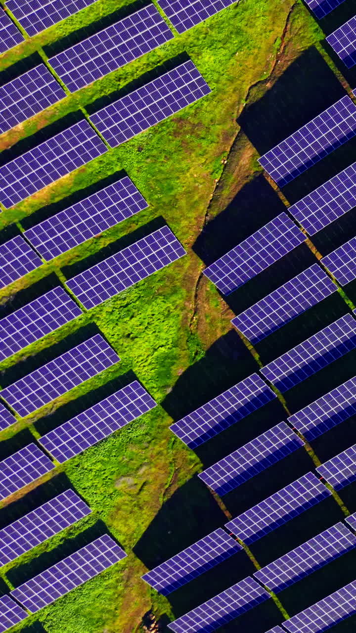 Prospettiva direttamente dall'alto di blocchi di pannelli solari rettangolari disposti su tappeto erboso verde brillante. Vista dall'alto di pannelli solari su erba verde. Video verticale