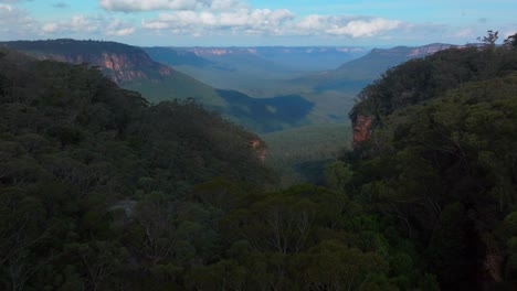 blue mountains aerial drone birds cockatoo flying katoomba sydney nsw australia sunny bluesky three sisters echo point lookout cliff walk national park gum tree eucalyptus forest afternoon forward