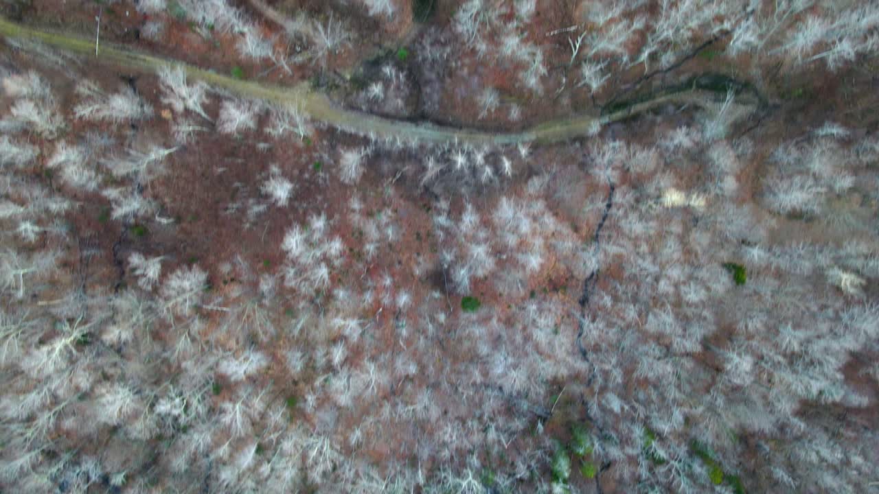 una nube de tormenta de invierno en las regiones montañosas de vermont durante el invierno
