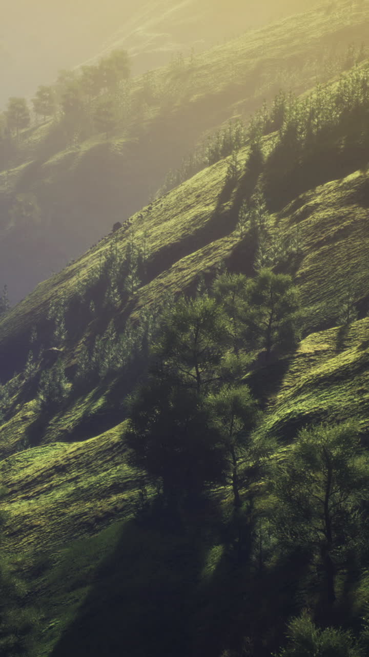Rolling green hills with trees under soft golden light during sunset