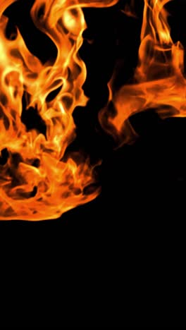 real fire flame vertical view