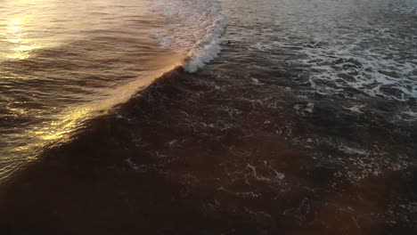 aerial drone shot of a surfer at rincon point surf break catching and riding a wave into the beach at sunset on the california coastline