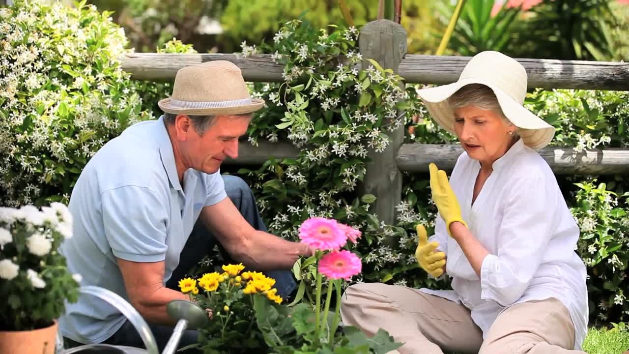 할아버지와 할머니가 정원 가꾸기를 하고 있습니다.