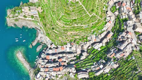 Cinque-Terre,-Manarola,-Provinz-La-Spezia,-Ligurien,-Italien