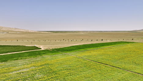 Provincia-De-Konya-Turquía-Aérea-V2-Sobrevuelo-De-Bajo-Nivel-Rural-Karadona-Y-Tierras-De-Cultivo-Katrancı-Capturando-Hermosos-Campos-De-Girasoles-En-Un-Día-Soleado-En-Un-Campo-Remoto---Filmado-Con-Cine-Mavic-3---Julio-De-2022