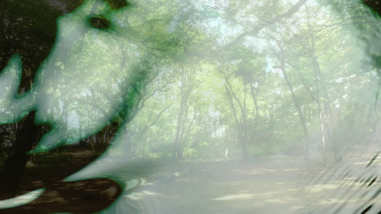 Animation of green abstract shapes blending over serene forest landscape background