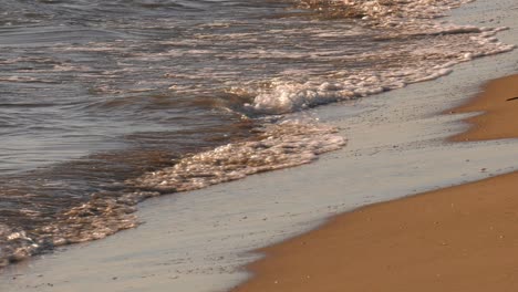 calm waves on a sandy beach at sunset
