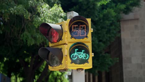 animación verde de bicicleta en semáforo con temporizador de cuenta regresiva en la ciudad de méxico
