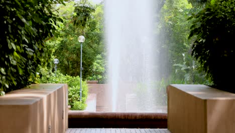 water fountain amidst lush greenery in park