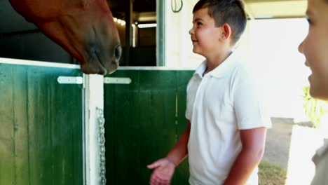 niños acariciando caballos en el establo 4k