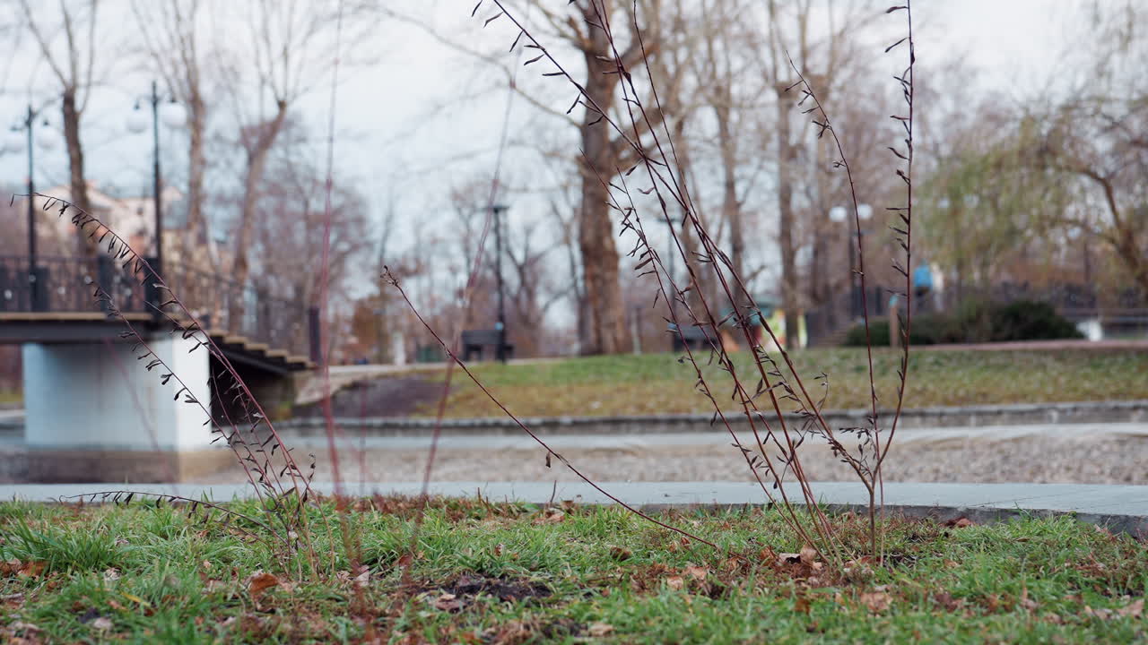 Close up of dry twigs and sparse autumn grass in public park with pedestrian bridge in background featuring black railings and white lampposts stretching across dry stone lined stream