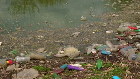 plastic bottles and bags pollution in the pond 04