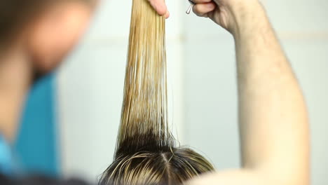 hair dresser is dyeing hair of beautiful woman in barber shop