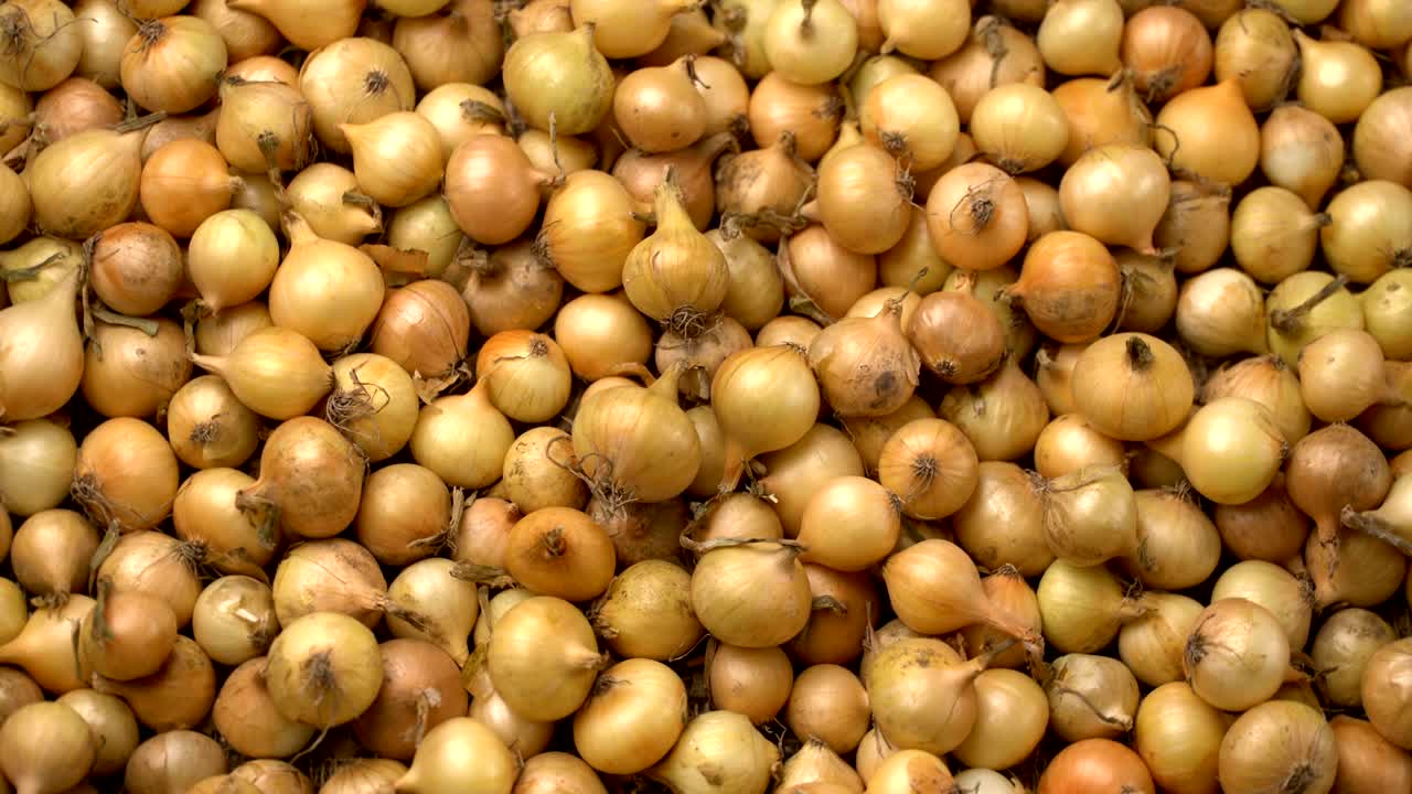 el fondo de rotación de las cebollas blancas