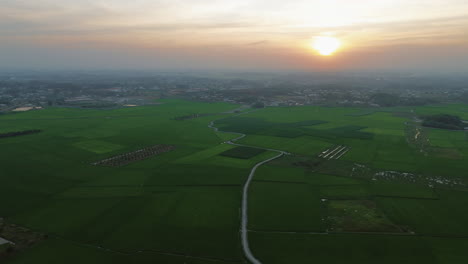 green fields and rural landscape at sunset, aerial view in tay ninh, vietnam