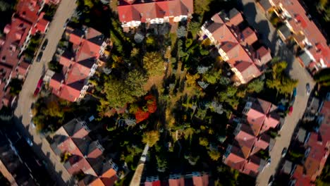 aerial view of suburban houses