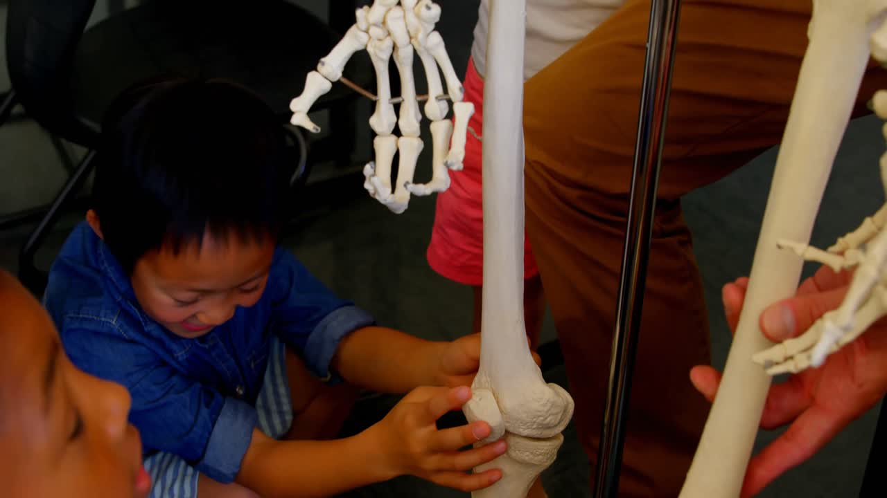 다민족 학교 아이들이 학교 교실에서 골격 모델을 고치고 있습니다. 4k