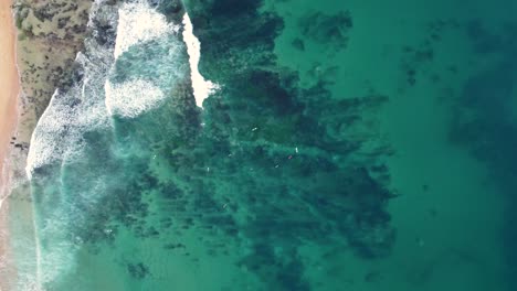 Drone-aerial-shot-North-Shelly-Beach-Zoom-in-Bird's-eye-view-crystal-clear-water-surfers-surfing-Central-Coast-NSW-Australia-4K