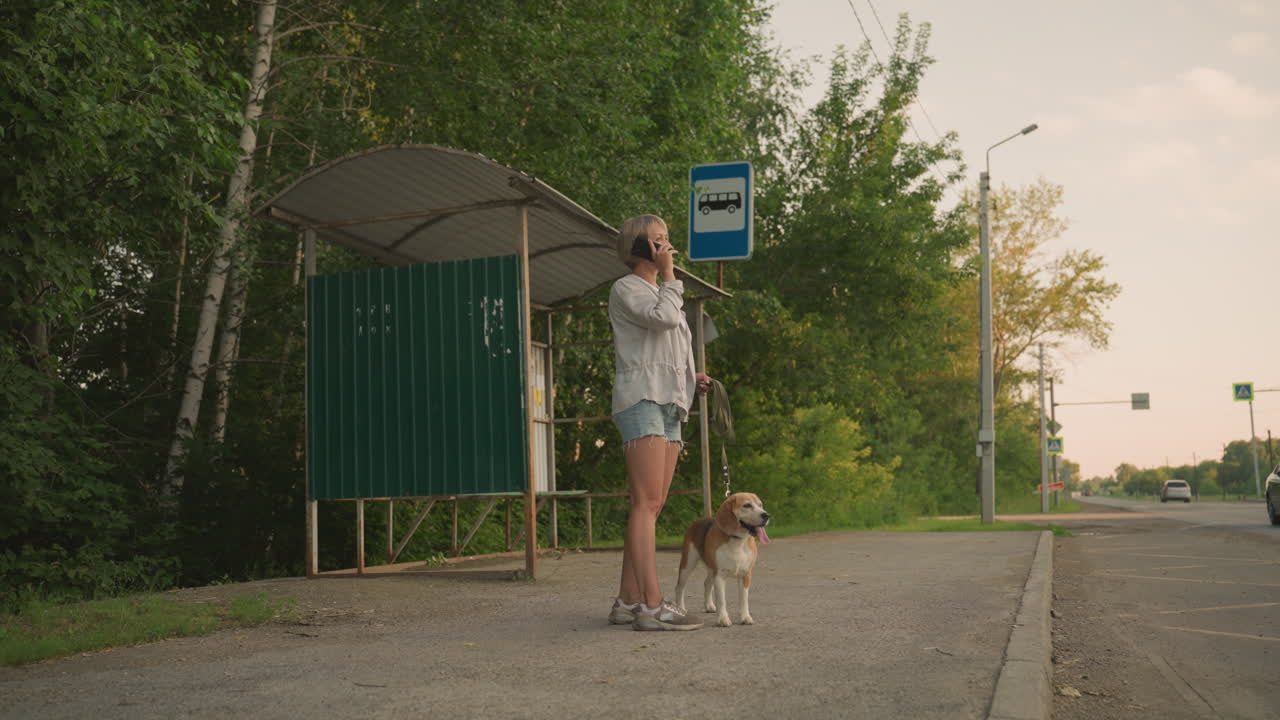 농촌 지역의 버스 정류장에서 개를 에 고 있는 개 소유자, 전화로 이야기하는 동안, 초록색 나무가 버스 정거장 터를 둘러싸고, 자동차가 반대 방향으로 지나가는 것을 볼 수 있습니다.