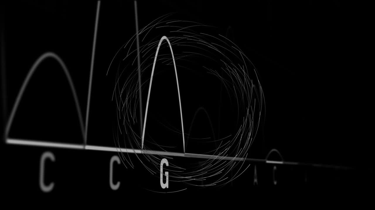 Abstract circular lines and waveforms animation over black background with letters