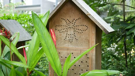 a bee hotel, insect hotel on the tree ,