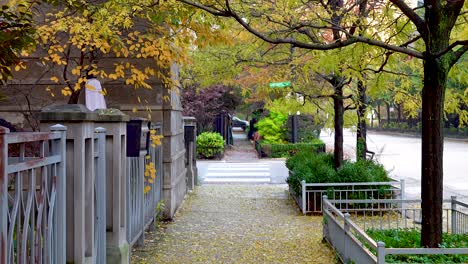 yellow autumn leaves on chicago city sidewalk