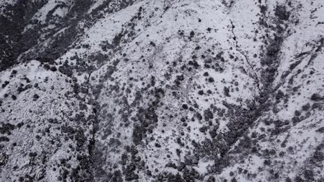 Top-down-overhead-aerial-shot-of-snowy-mountain-with-trees-and-dark-streams