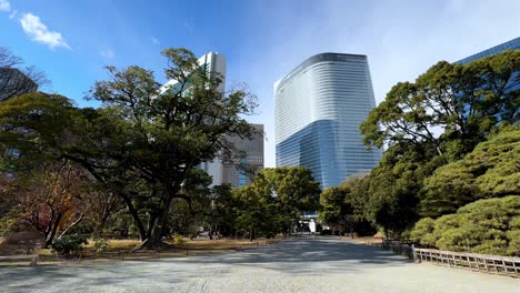 una vista serena de los jardines de hama rikyu con rascacielos modernos y árboles en contraste