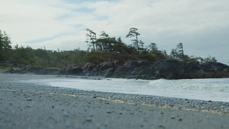 secluded beach, vancouver island nature scene, static, slow motion