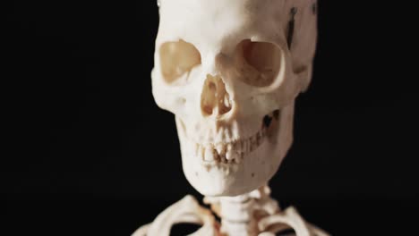 Video-of-close-up-of-halloween-skeleton-and-copy-space-on-black-background