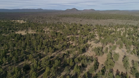 amplia toma aérea mientras el vehículo terrestre viaja por un camino de tierra a través de los árboles, 4k