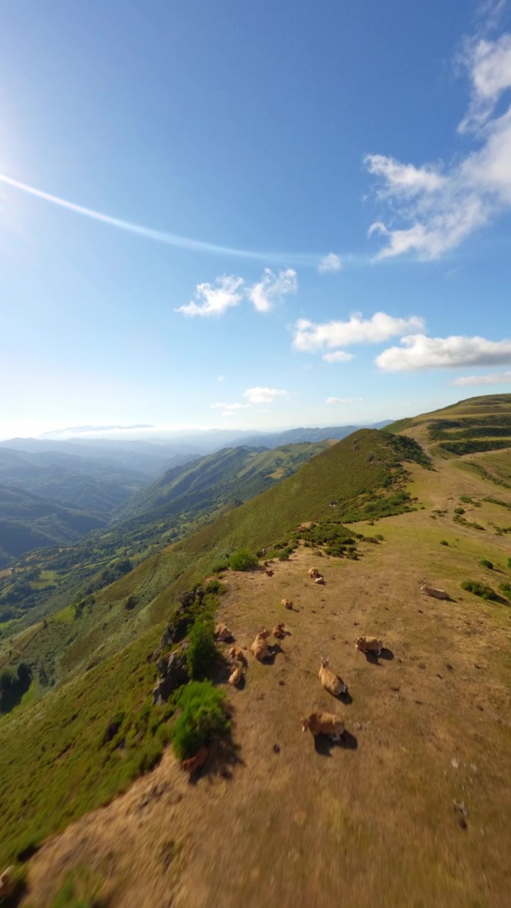 Prospettiva aerea FPV immersiva della linea di cresta del monte Coto Bello, con rigogliose colline verdi e panorami montani ad Aller, Asturie, Spagna.