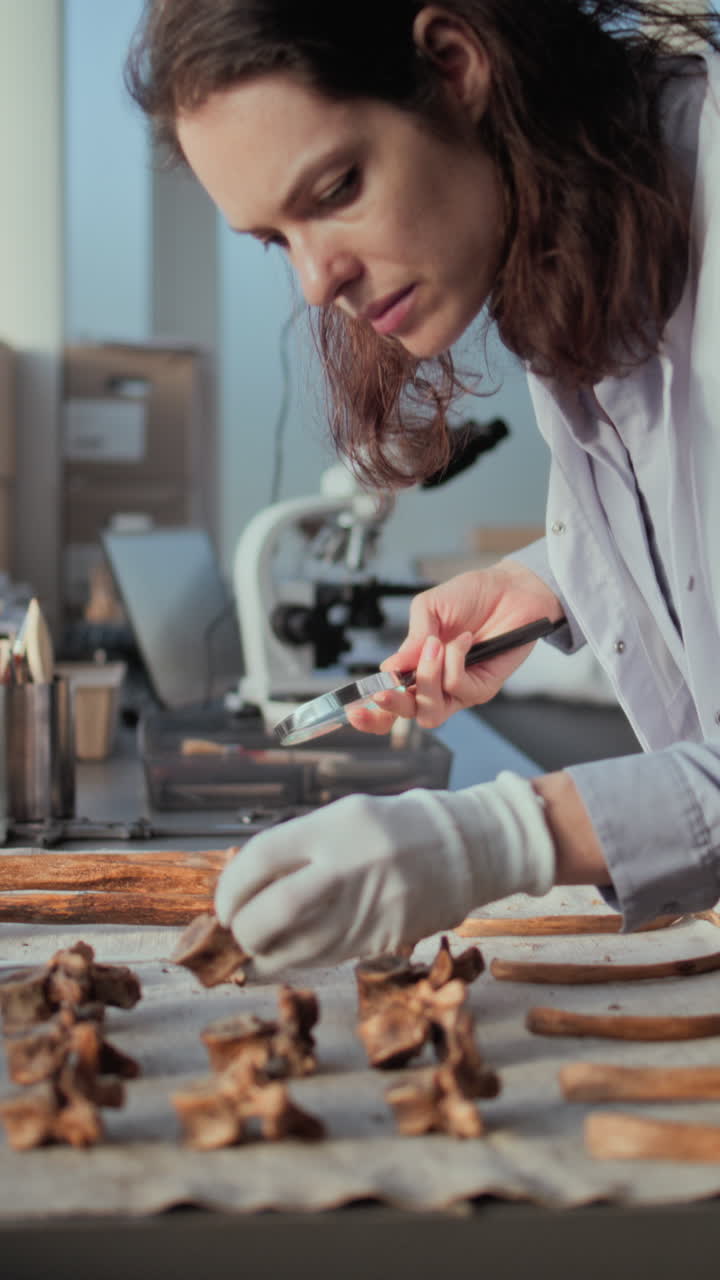 paleontólogo examinando vértebras antiguas