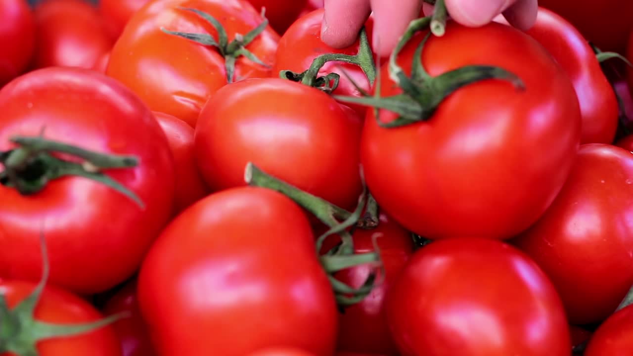 야채 가게 에서 채소 와 과일 을 구입 하는 사람 2