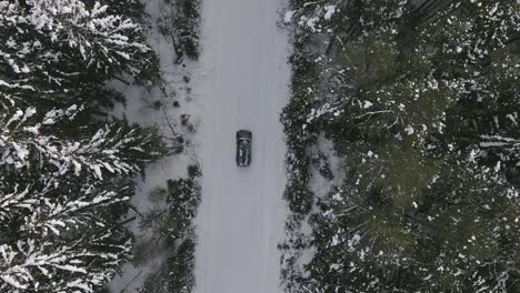 car driving through forest in winter