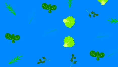 vegetables elements animation chroma key background removable, seamless loop