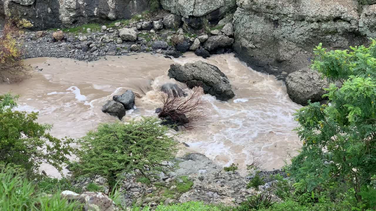 un árbol muerto sobre una roca en el río embravecido en debre libanos, caída de agua de debre birhan