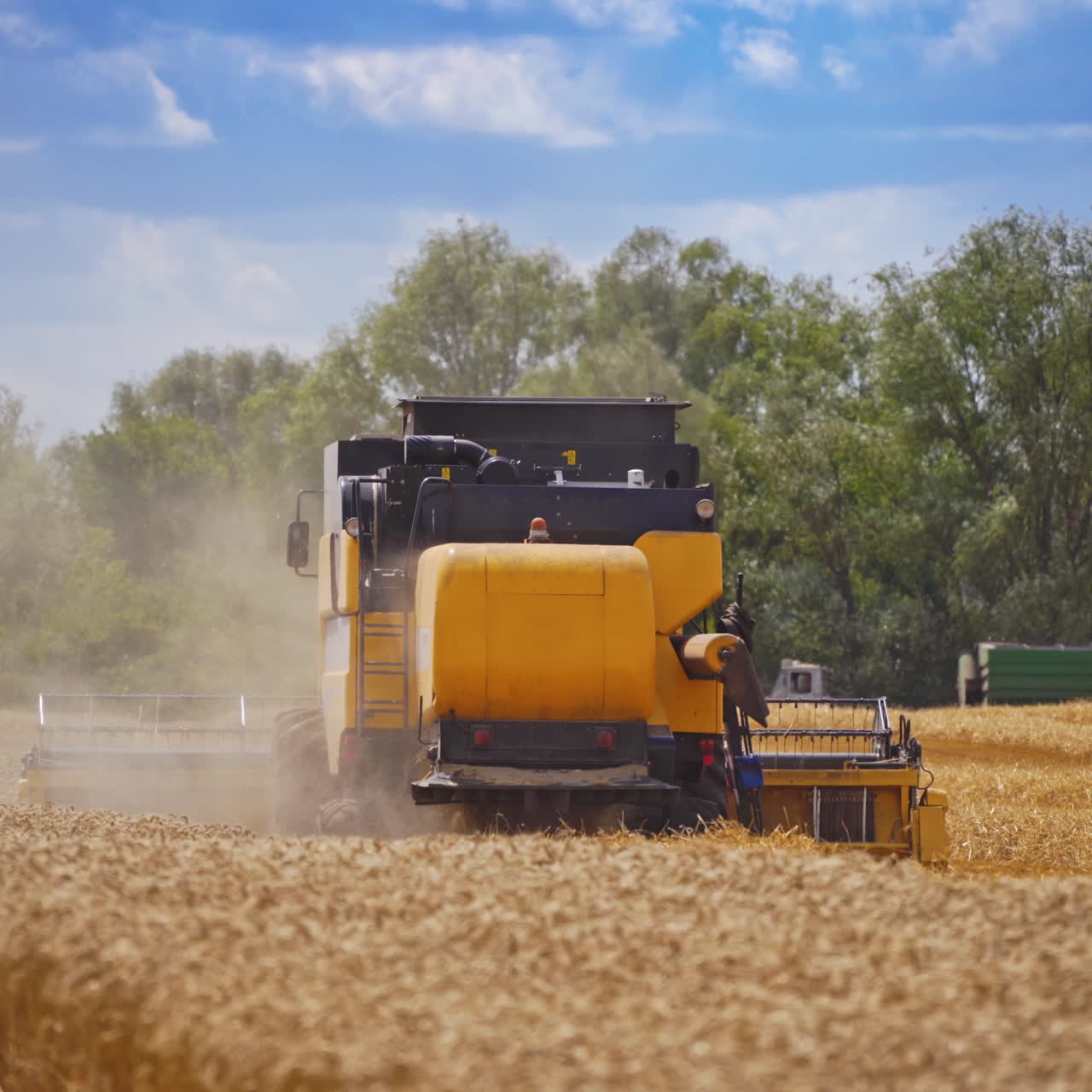 Agricultural machine harvesting wheat. Modern combine harvester working on the golden field during seasonal works. Dust is coming from harvester on the field.