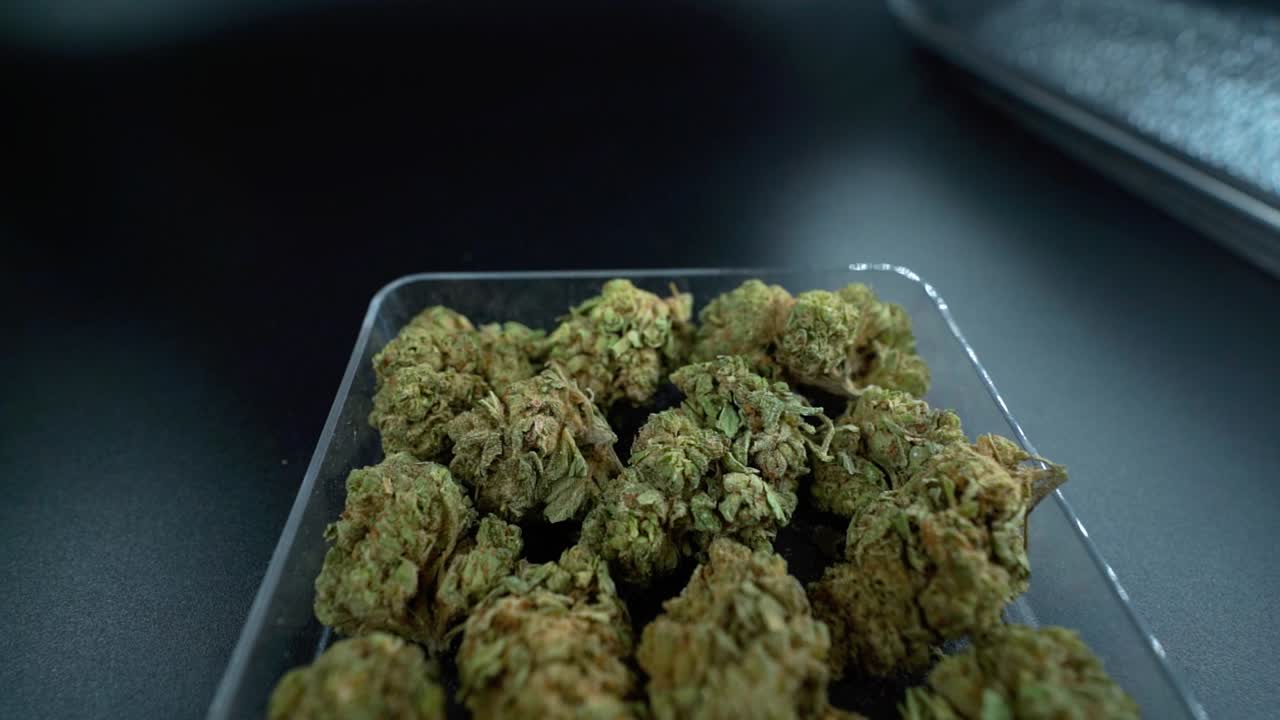 A close up detailed crane upward movement shot of a cannabis plant, marijuana flower in a clear plate, hybrid strains, Indica and sativa, 120 fps slow motion Full HD, cinematic studio lighting