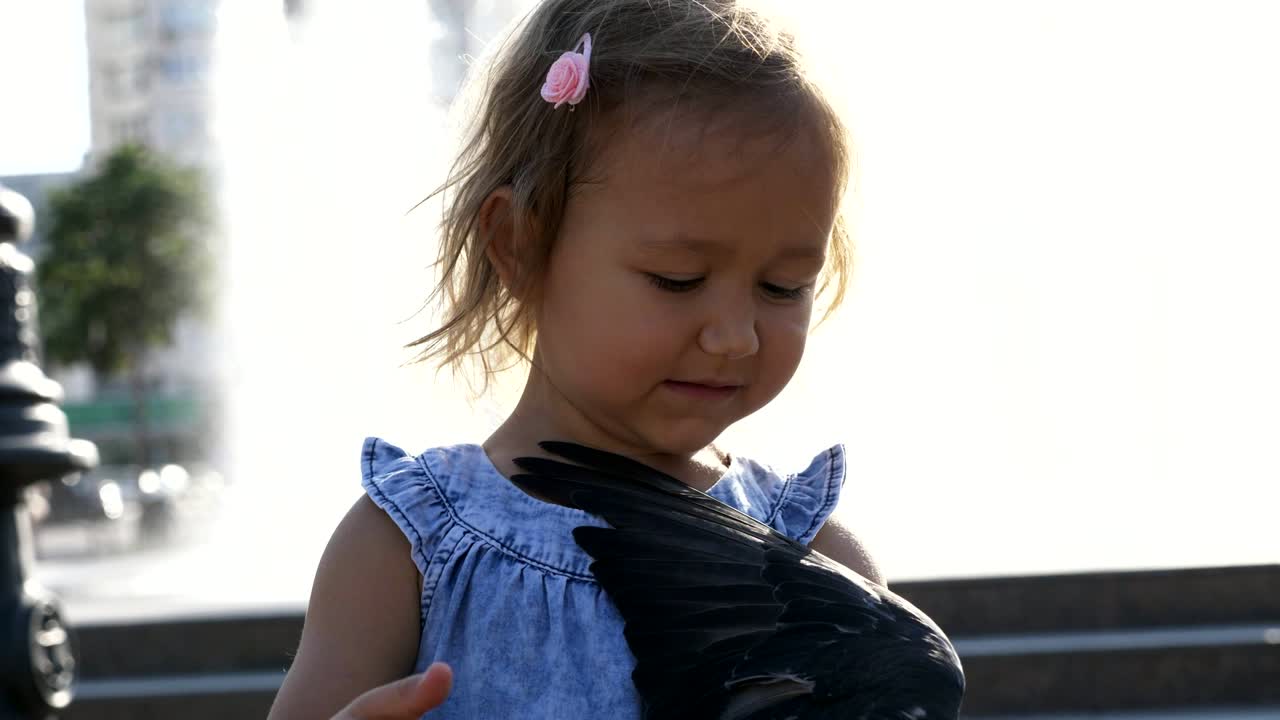 милая девочка кормит уличных голубей в парке в летний день 4к замедленная съемка